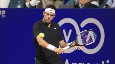 Juan Martin Del Potro: “Me faltó ser el número 1″