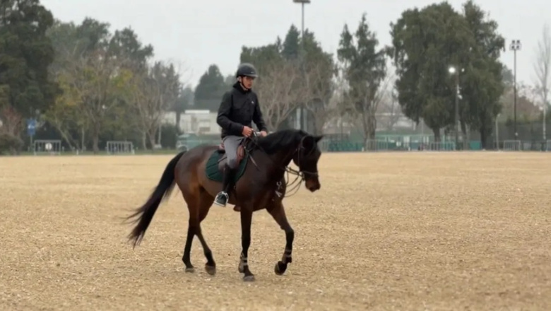 Caballos y jinetes se preparan para conquistar las pistas de Rosario