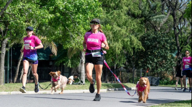 El único 5k donde el que decide la velocidad es tu perro