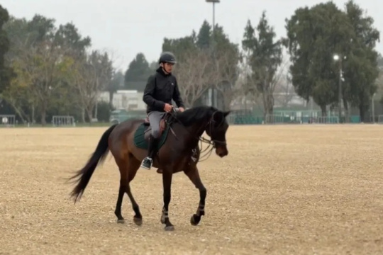 Caballos y jinetes se preparan para conquistar las pistas de Rosario